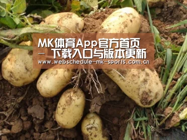种植基地六