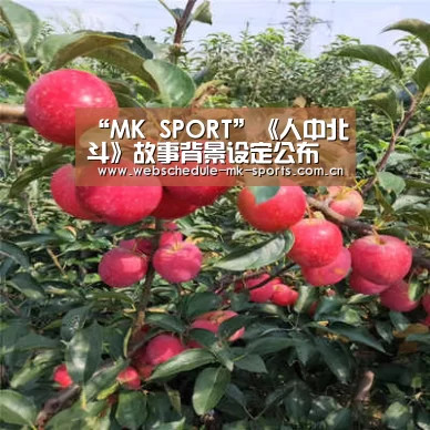 MK体育中国