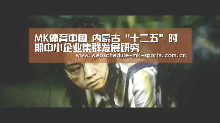 MK体育中国_内蒙古“十二五”时期中小企业集群发展研究(图1) MK体育中国
