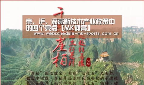 京、沪、深高新技术产业政策中的四个亮点【MK体育】(图3) MK体育官网