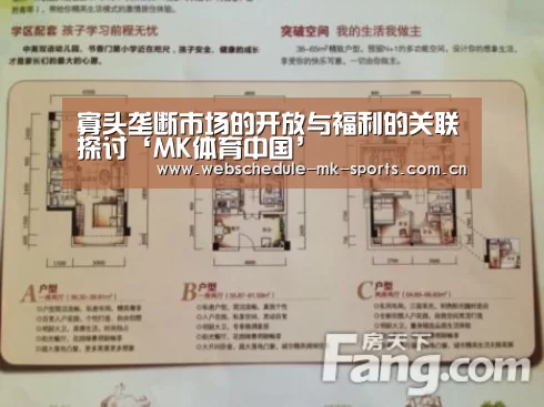 寡头垄断市场的开放与福利的关联探讨‘MK体育中国’(图1) MK体育中国