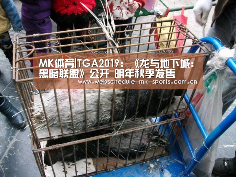 MK体育|TGA2019:《龙与地下城:黑暗联盟》公开 明年秋季发售(图2) MK体育官网