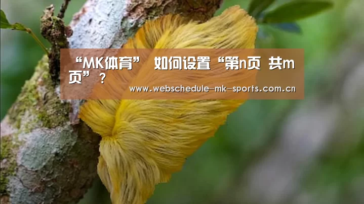 “MK体育”
如何设置“第n页 共m页”?(图4) MK SPORT