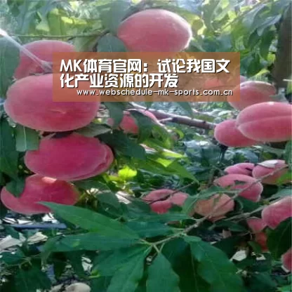 MK SPORT