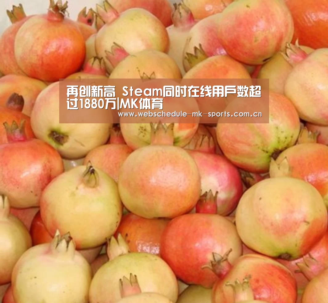 MK体育