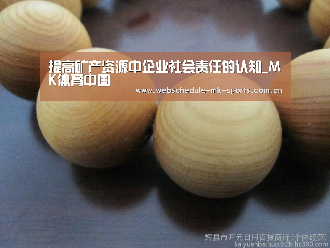 提高矿产资源中企业社会责任的认知_MK体育中国(图2) MK体育中国