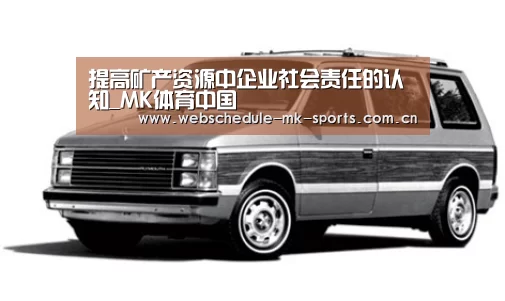 提高矿产资源中企业社会责任的认知_MK体育中国(图3) MK SPORT