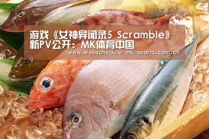 MK体育中国